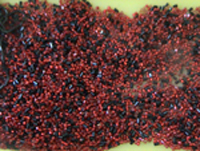 rote und schwarze Perlen gut mischen
